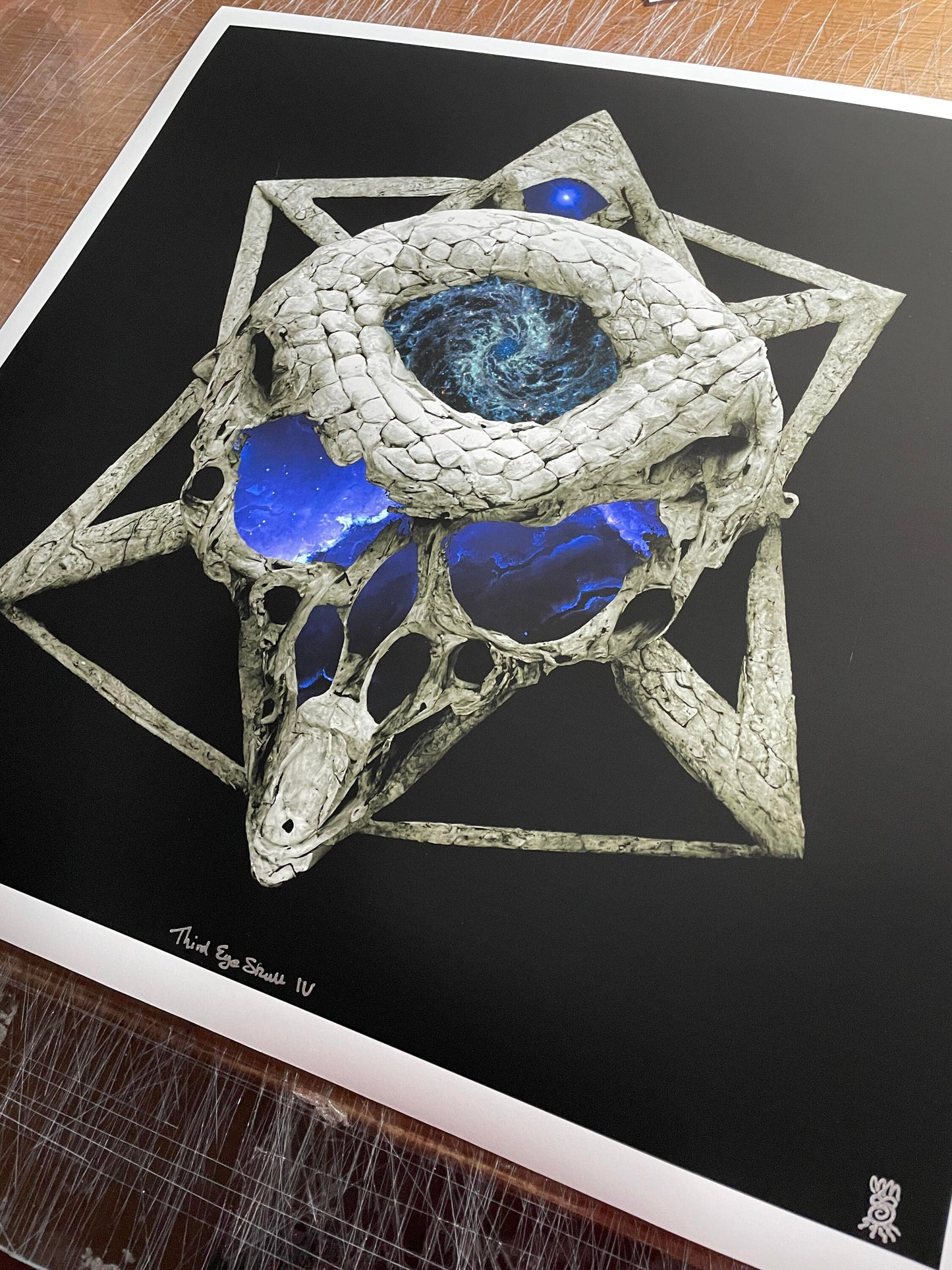 Third Eye Skull Vol IV 17x17 Full Sized Matte Edition AP