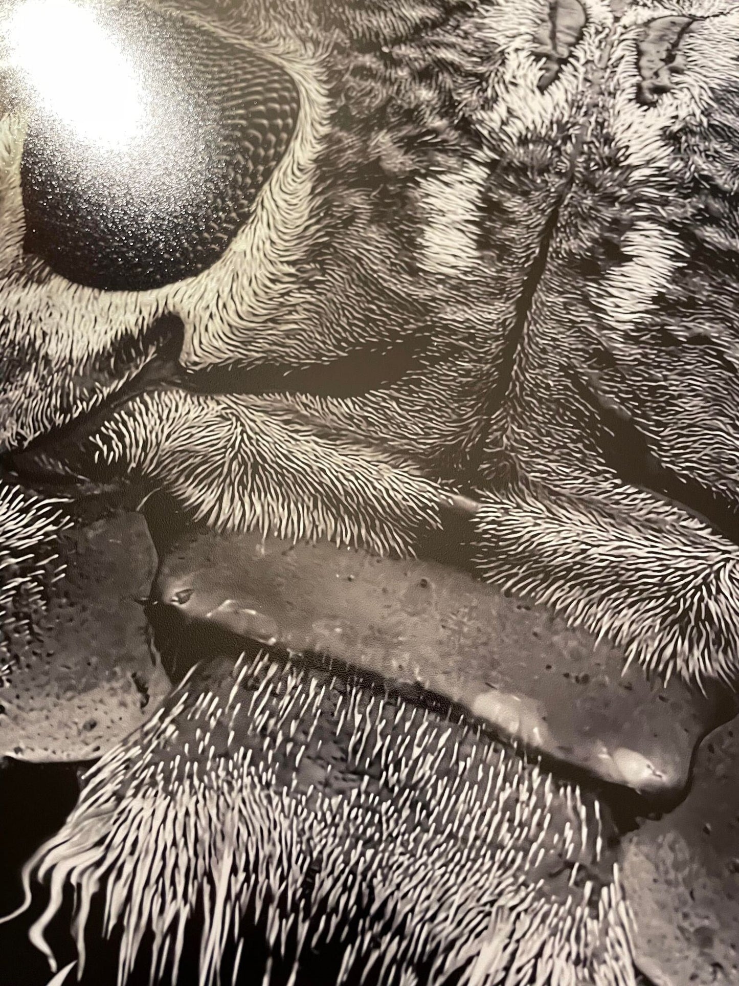 CLUTCH Seattle WA 8/9/23 Main Edition of 30 17x22