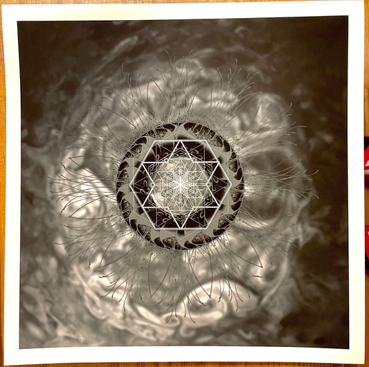 Mitosis Edition of 25 on Matte Stock. TOOL Elements V