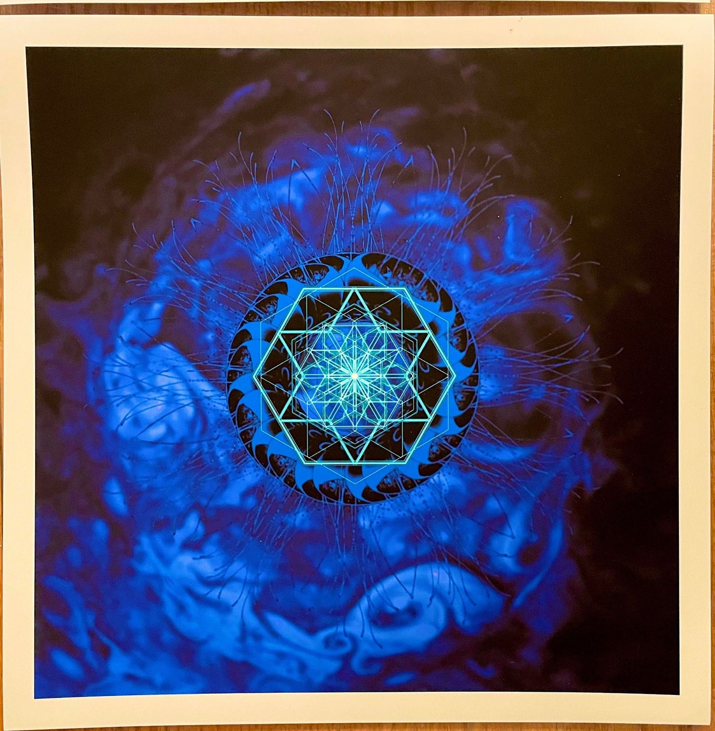 Immunity Edition of 25 on Matte Stock. TOOL Elements V