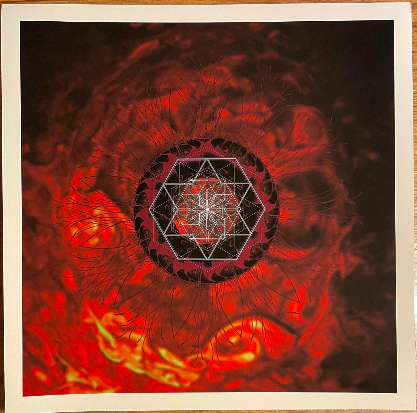 Infection Edition of 7 on Pearl Foil Stock. TOOL Elements V