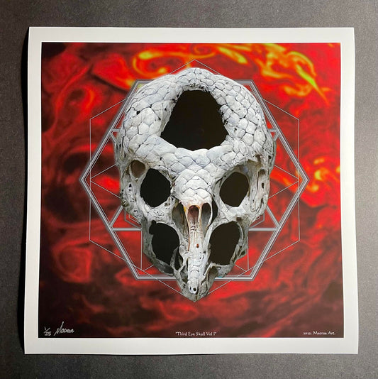 Third Eye Skull Vol I 12X12