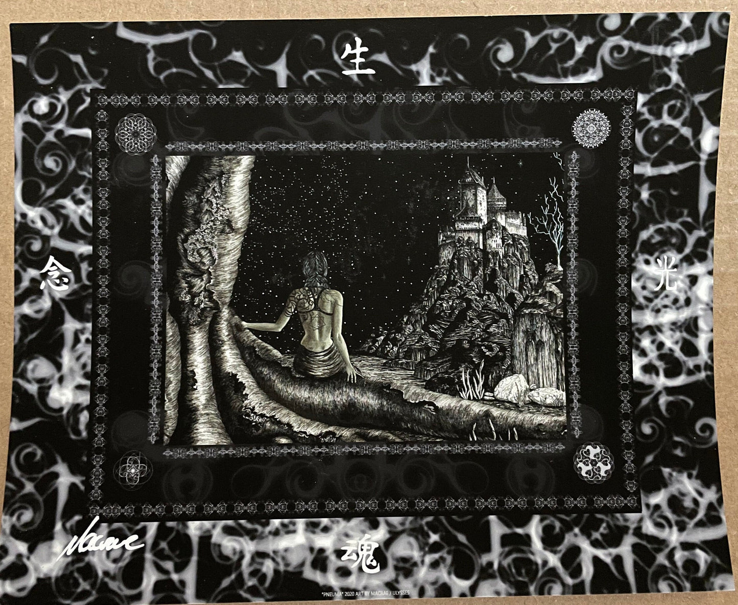 TOOL PNEUMA Song Series Black and White Variant Edition Print Handbill 2020 5."X6.5"