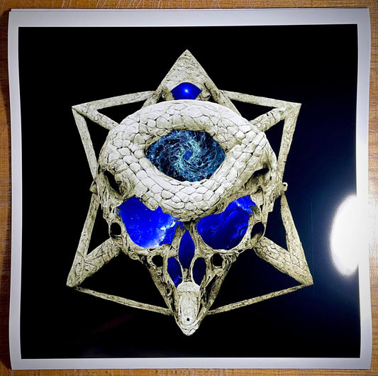 Third Eye Skull Vol IV 17x17 Full Sized Edition AP