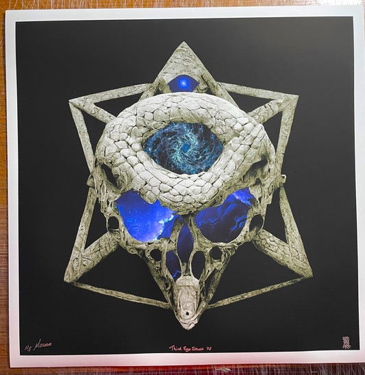 Third Eye Skull Vol IV 17x17 Full Sized Matte Edition AP