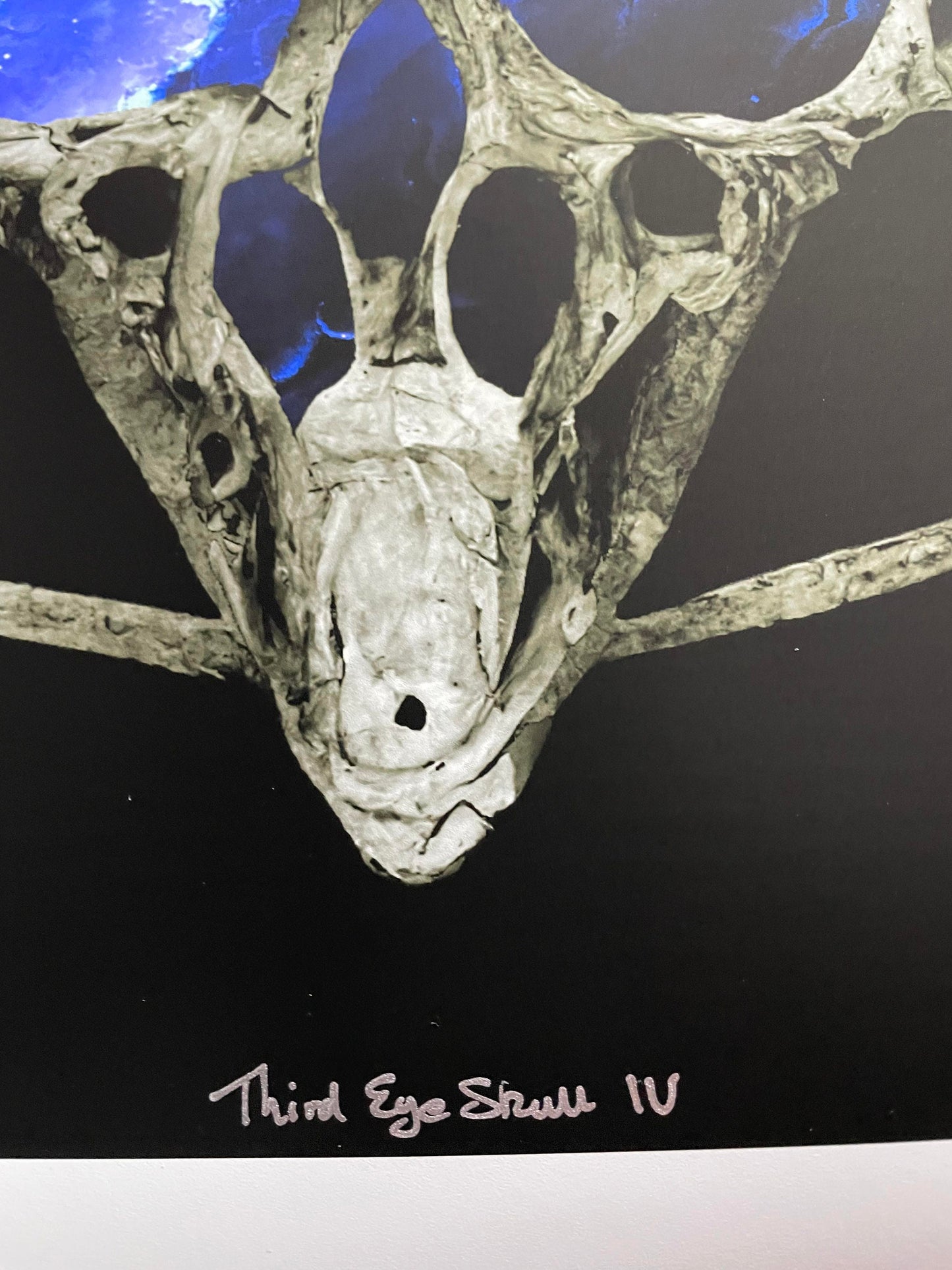 Third Eye Skull Vol IV 17x17 Full Sized Matte Edition AP