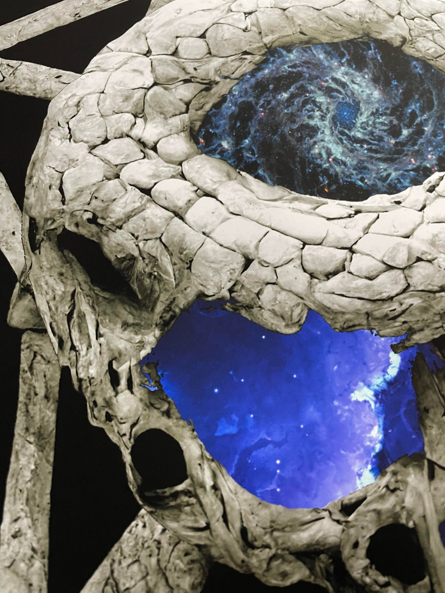 Third Eye Skull Vol IV 17x17 Full Sized Matte Edition AP