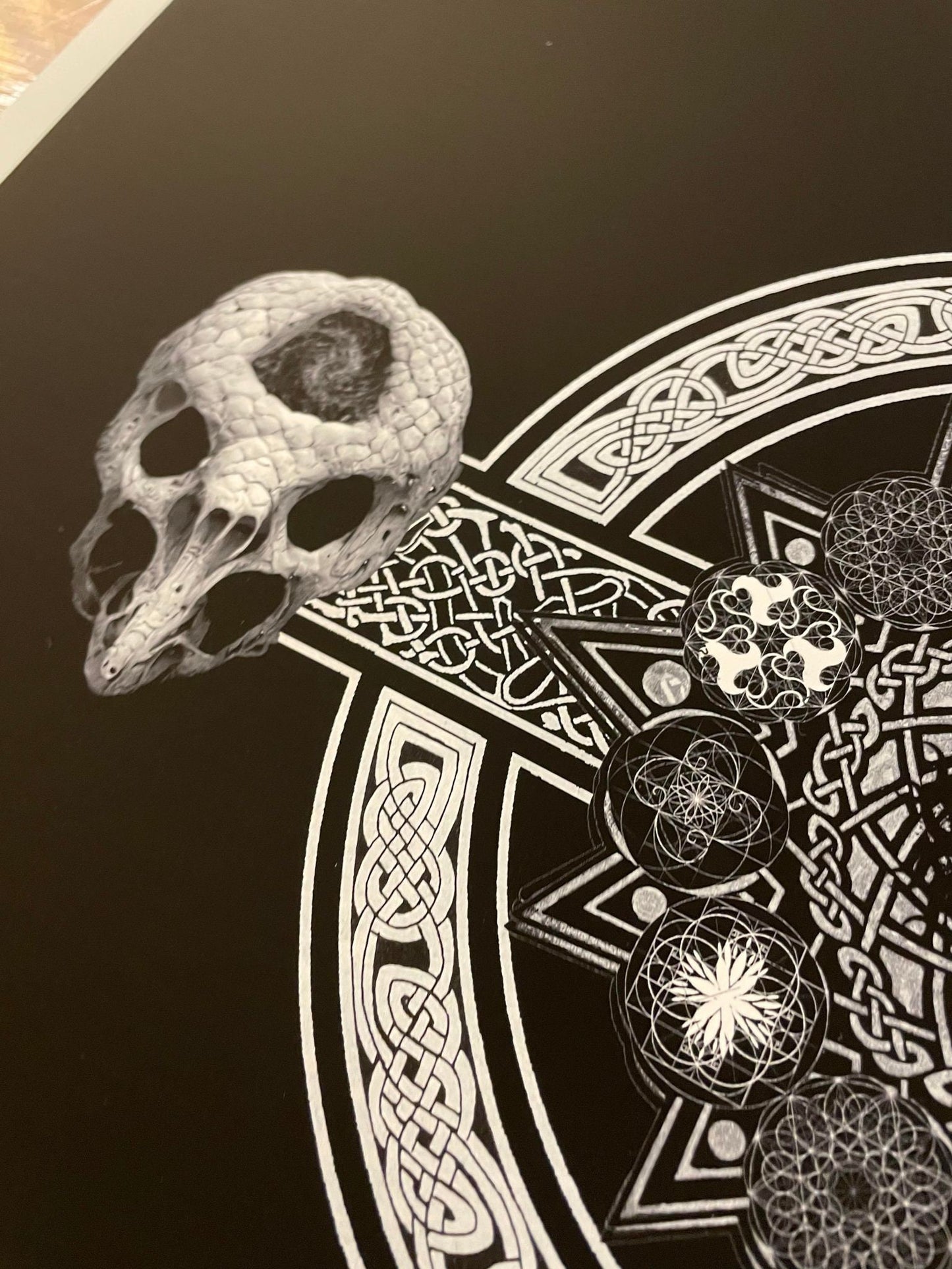 TOOL Paramount Theatre 2006 Main Edition