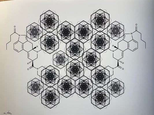 Bicycle Day 2024 Main Edition of 30