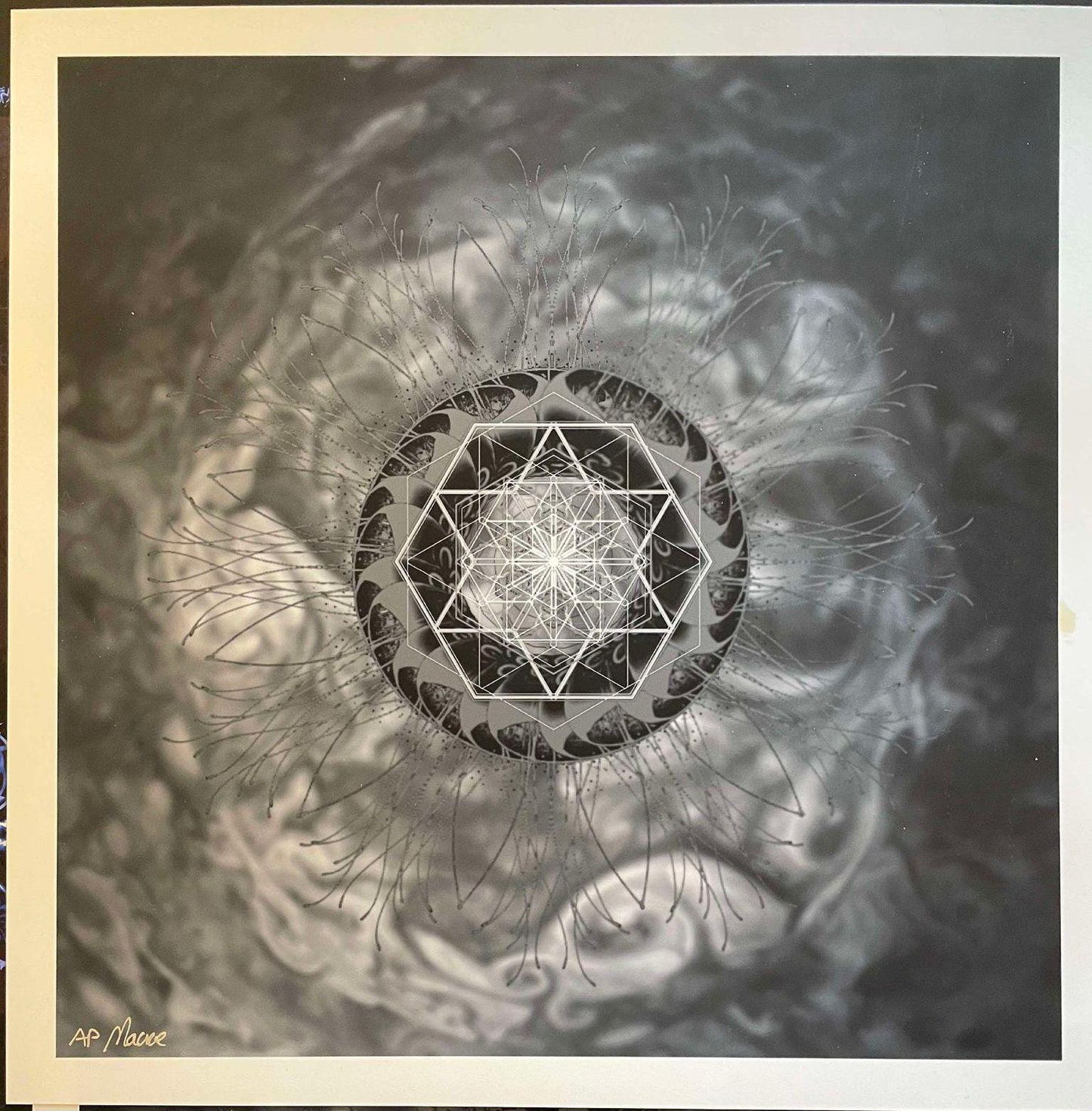 ELEMENTS V Fear Inoculum 12x12 AP Print. Signed.