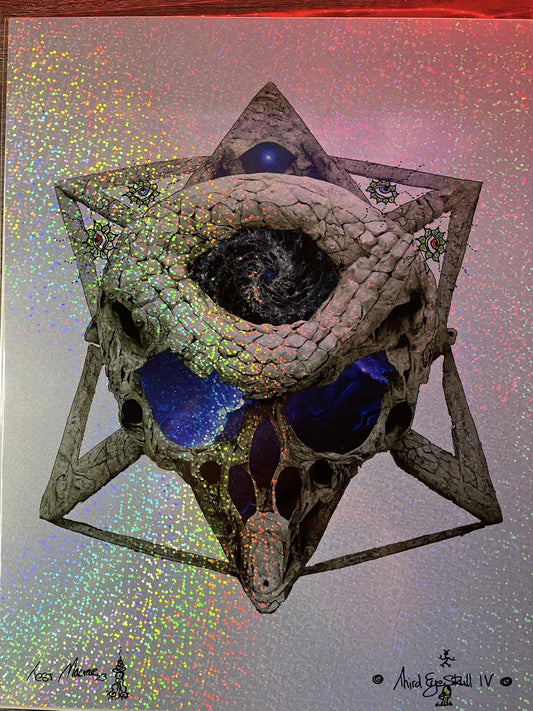 Third Eye Skull Vol IV Test Print w/ remarques.