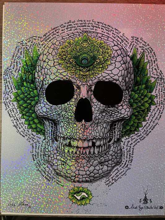Third Eye Skull Vol V 8.5X11 Hand Colored and Remarqued