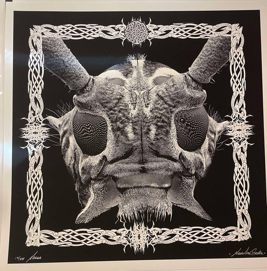 Meet The Beetle 17x17 Main Edition Art Print