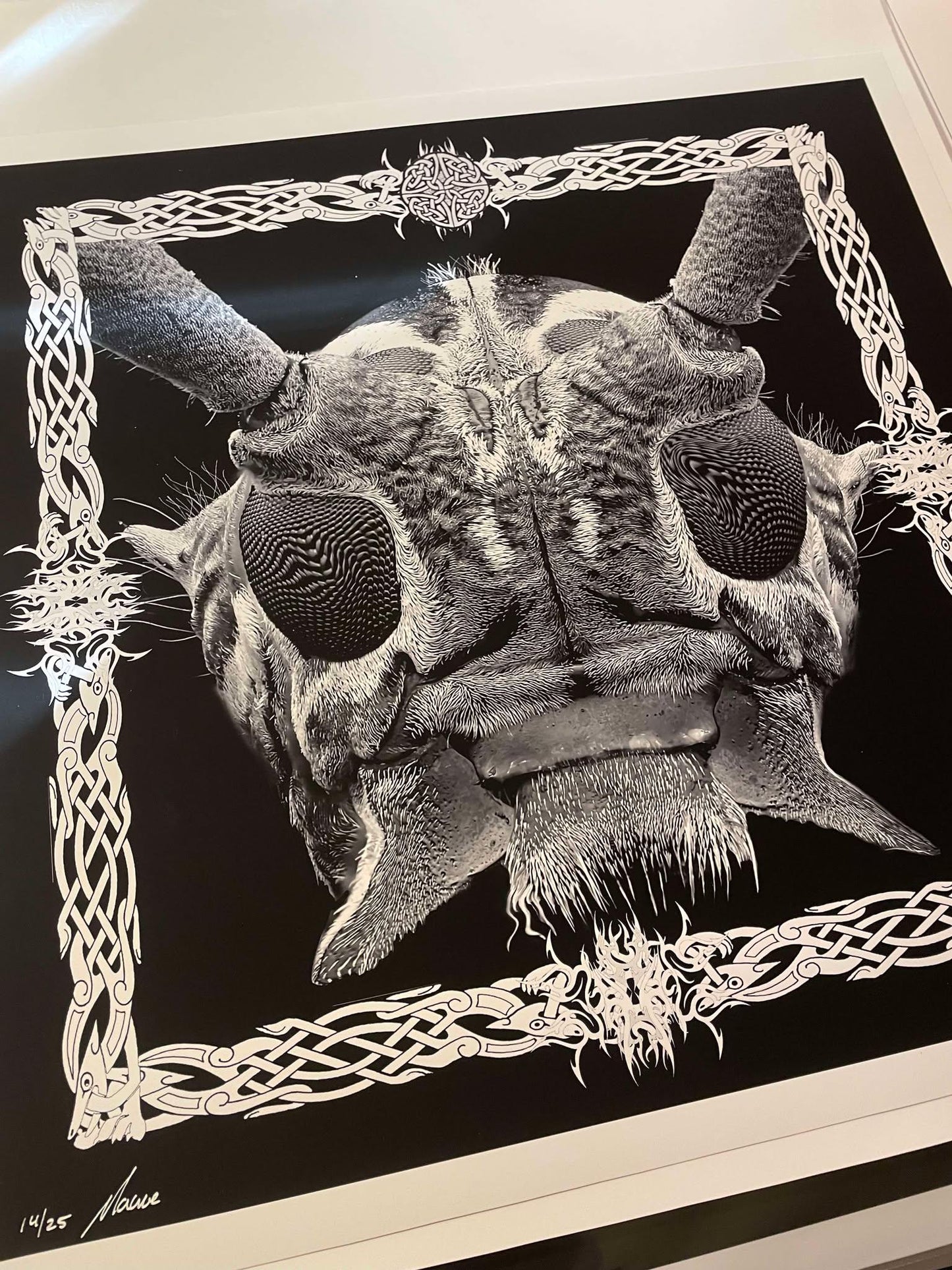 Meet The Beetle 17x17 Main Edition Art Print