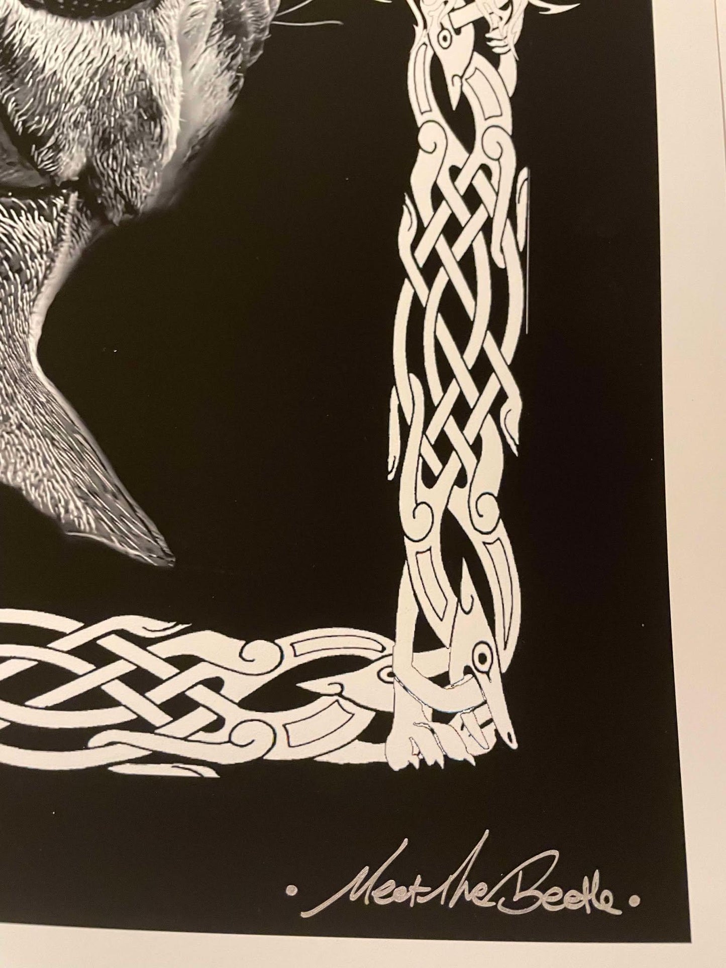 Meet The Beetle 17x17 Main Edition Art Print